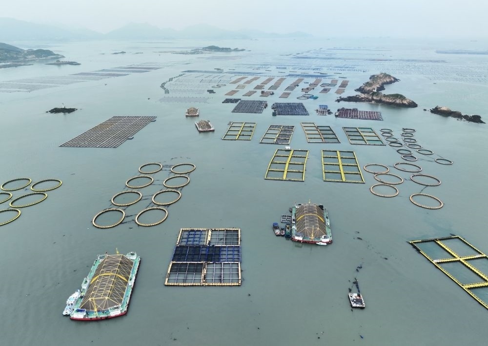 在福建連江定海灣海域，坐落著“定海灣1號(hào)”“定海灣2號(hào)”等深遠(yuǎn)海養(yǎng)殖平臺(tái)（2024年5月7日攝，無(wú)人機(jī)照片）。新華社記者 林善傳 攝