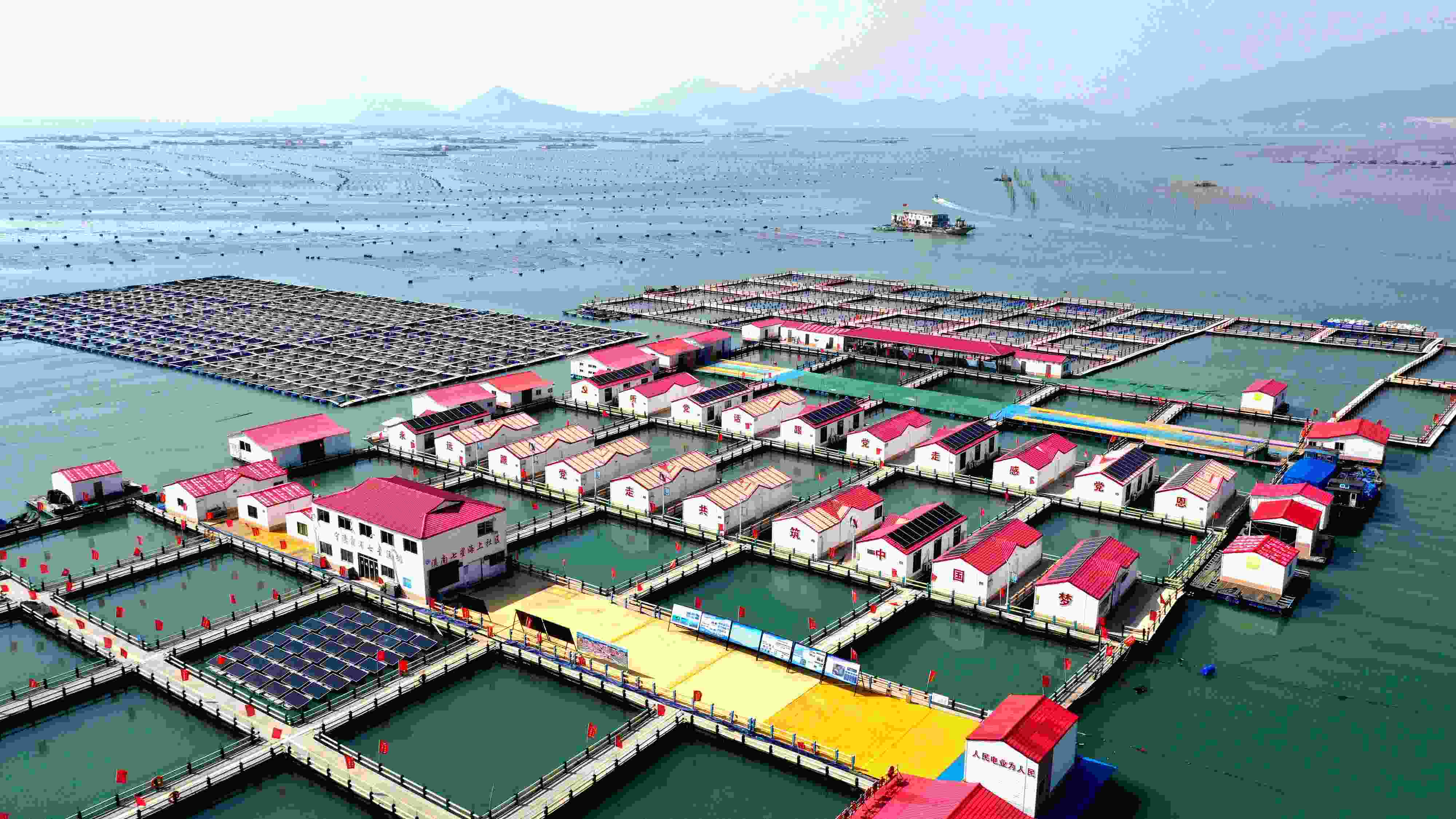 2024年3月20日，福建省寧德市，霞浦縣溪南鎮(zhèn)七星村漁排養(yǎng)殖示范區(qū)，漁民駕駛養(yǎng)殖船進(jìn)行海參養(yǎng)殖作業(yè)。