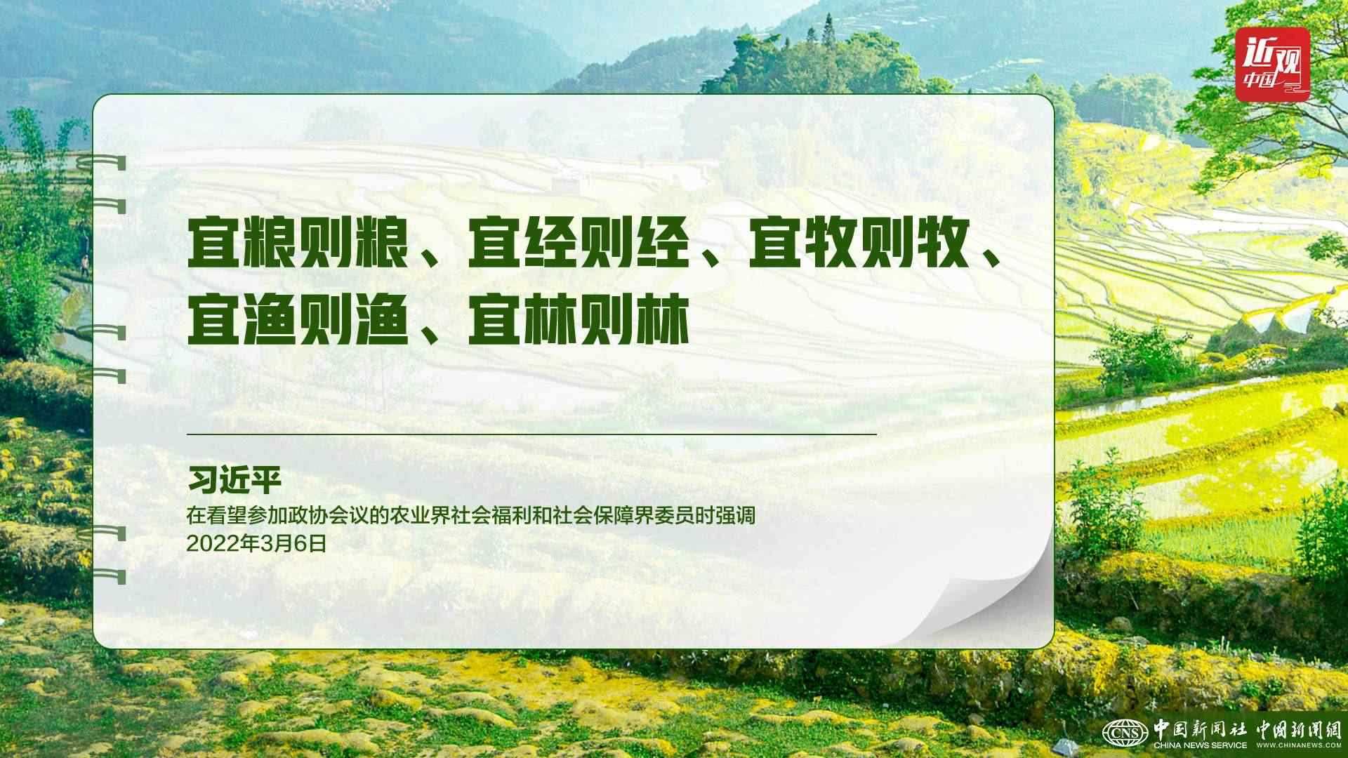 習(xí)近平：樹立大食物觀，構(gòu)建多元化食物供給體系