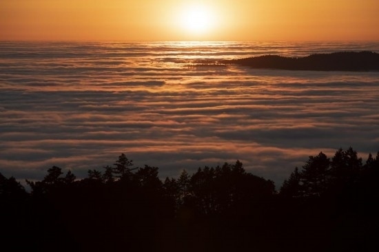 這是5月14日在美國加利福尼亞州馬林縣拍攝的云海。新華社發(fā)（李建國攝）