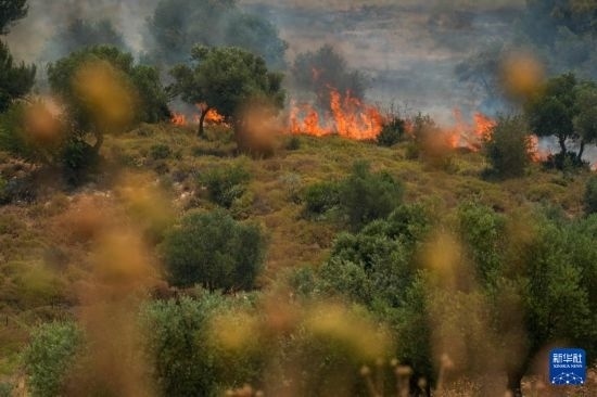 6月12日，以色列北部加利利地區(qū)遭受火箭彈襲擊后冒出滾滾濃煙。新華社發(fā)（阿亞爾·馬戈林?jǐn)z/基尼圖片社）
