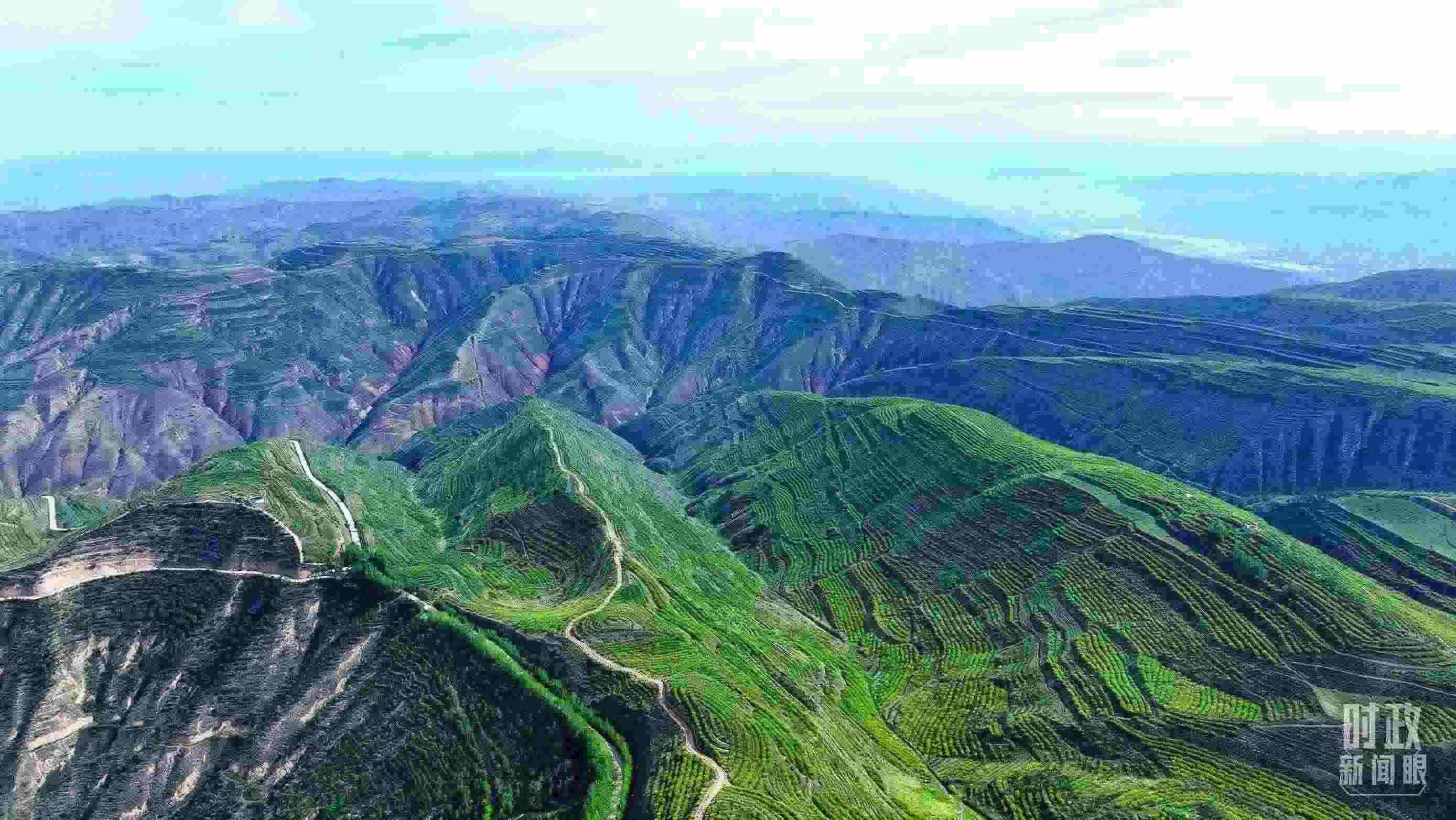 △青海西寧。（總臺記者柳成拍攝）