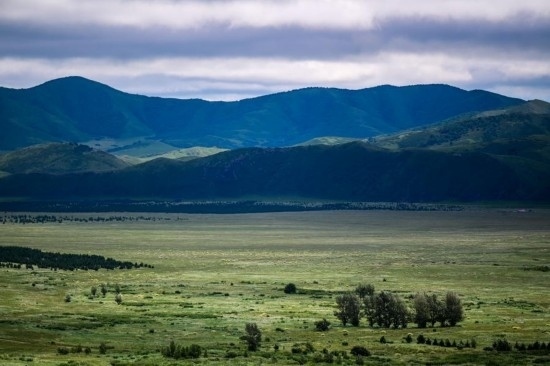 2023年8月4日拍攝的大興安嶺南麓內(nèi)蒙古罕山國(guó)家級(jí)自然保護(hù)區(qū)風(fēng)光。新華社記者 連振 攝