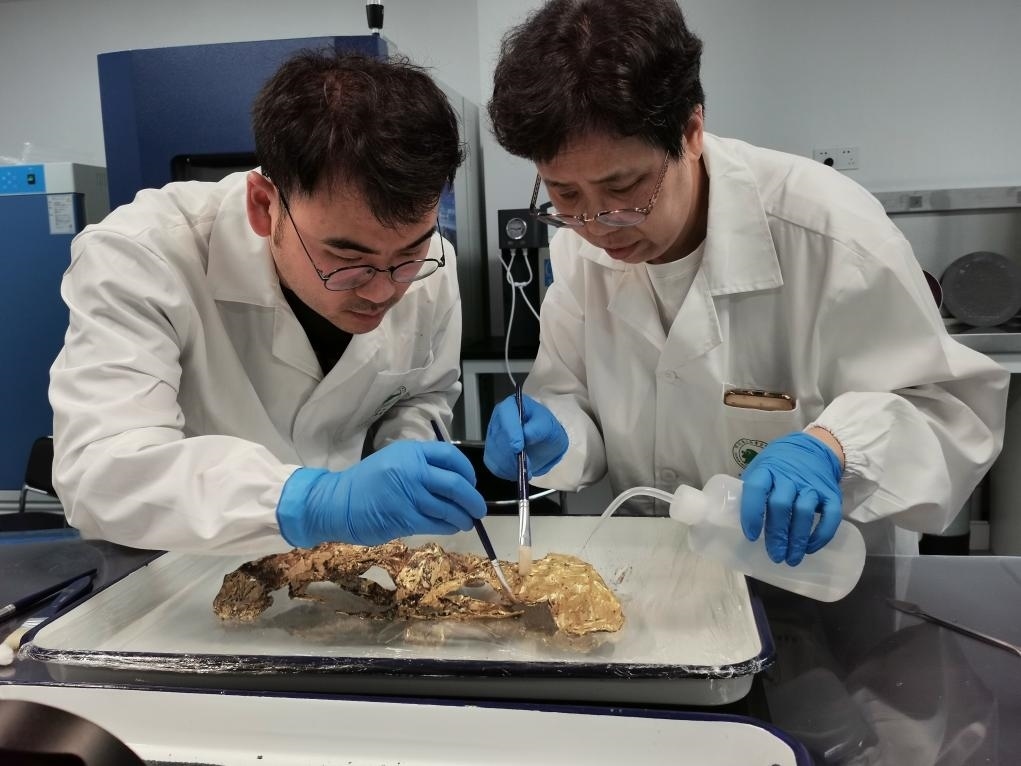 2023年7月，馬燕如（右）帶著魯海子（左）修復三星堆遺址出土的黃金面具。新華社發(fā)（四川省文物考古研究院供圖）