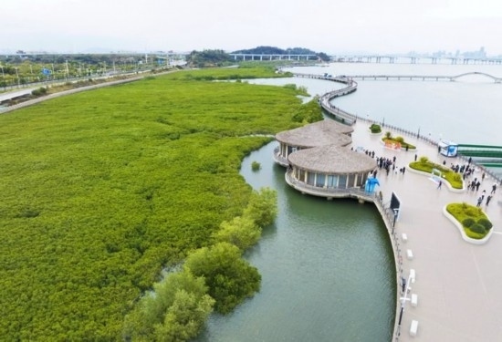 2024年1月23日拍攝的廈門市翔安區(qū)下潭尾紅樹林公園（無人機照片）。新華社記者 林善傳 攝
