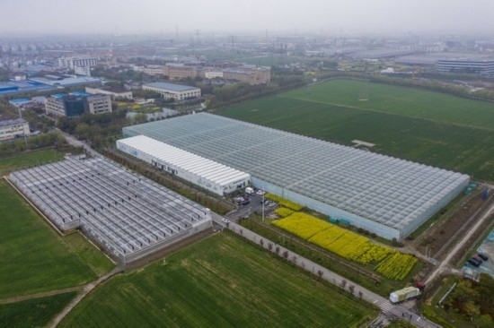 2024年3月28日，空中俯瞰嘉興南湖區(qū)湘家蕩農(nóng)業(yè)數(shù)字化工廠（無人機照片）。該農(nóng)業(yè)數(shù)字化工廠占地總面積約62畝，包含智慧農(nóng)業(yè)生產(chǎn)、物聯(lián)網(wǎng)智能管理、自動分揀包裝、保鮮儲藏物流、高科技示范展示等五大功能區(qū)，可直接或間接培養(yǎng)帶動新型職業(yè)技術(shù)農(nóng)民500人以上。新華社記者 徐昱 攝