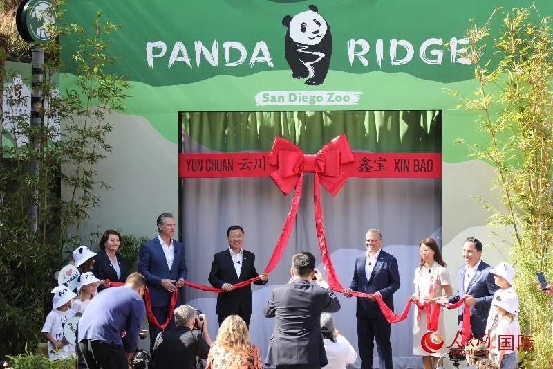 1、中國駐美國大使謝鋒、加州州長紐森、圣迭戈市市長格洛利亞等人共同為“熊貓嶺”開館剪彩。 人民網(wǎng)記者 李志偉攝