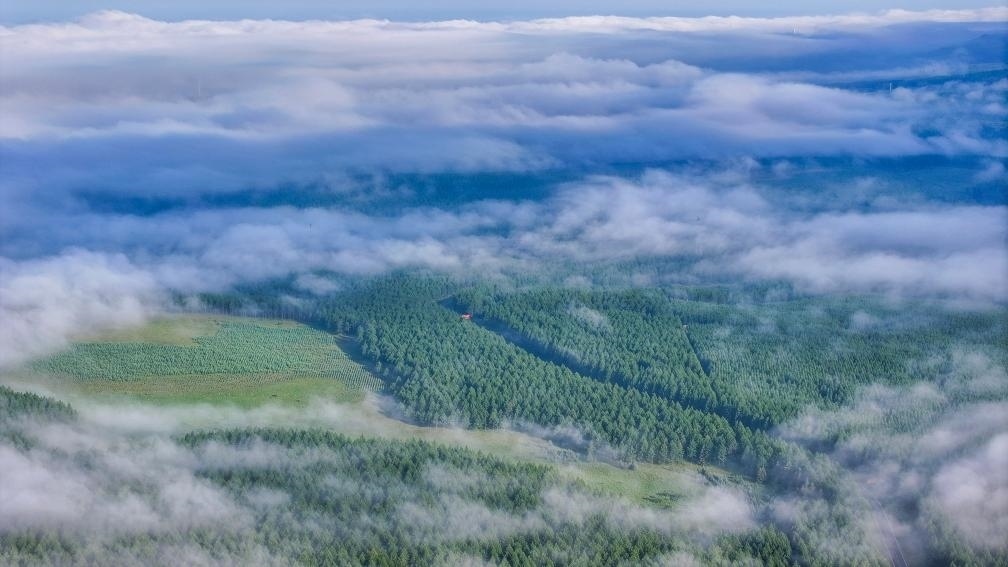 2024年7月26日拍攝的塞罕壩國(guó)家級(jí)自然保護(hù)區(qū)景色。新華社發(fā)（劉滿倉(cāng) 攝）