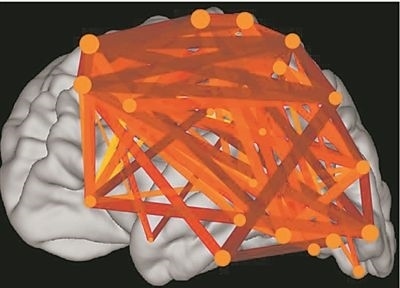 圖上的線條代表大腦皮層中與語言處理相關(guān)的各個區(qū)域之間的連接。當(dāng)閱讀時，這些區(qū)域的神經(jīng)元會以精確同步的方式激發(fā)，這種現(xiàn)象被稱為共同漣漪。圖片來源：加州大學(xué)圣迭戈分校