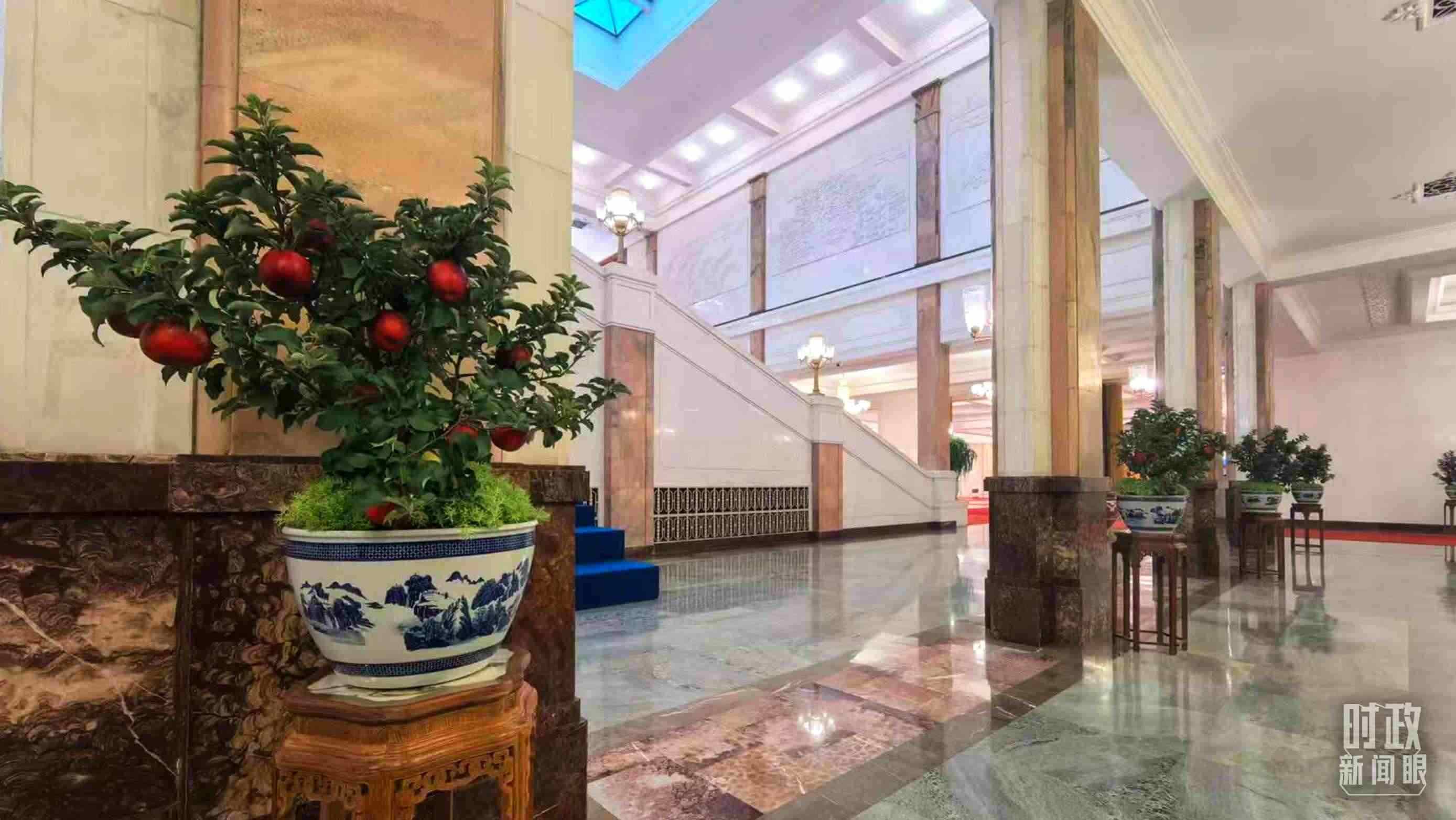  △大會堂內(nèi)的“碩果累累”盆栽。（總臺國廣記者吳倩拍攝）