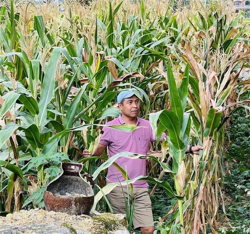 不是攀登石林高臺(tái)，就是鉆入玉米莊稼地，吉爾吉斯斯坦《自由之山報(bào)》總編輯納拉雷·阿桑巴耶夫“身手不凡”，與生長(zhǎng)旺盛的玉米構(gòu)成了花茂村的鄉(xiāng)間野趣。（張亞欣攝）