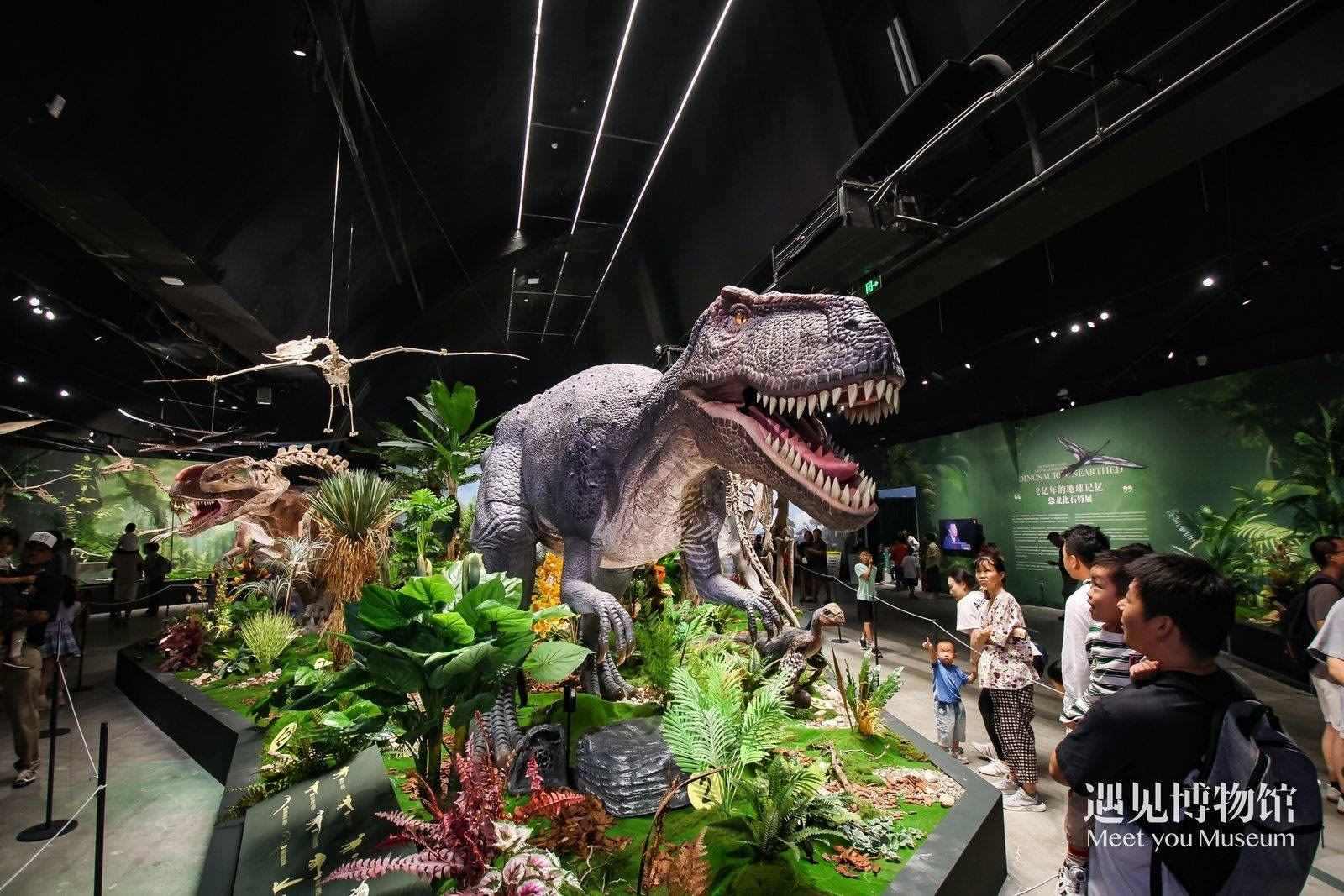 2. 游客參觀“2億年的地球記憶——恐龍化石特展”。遇見博物館供圖