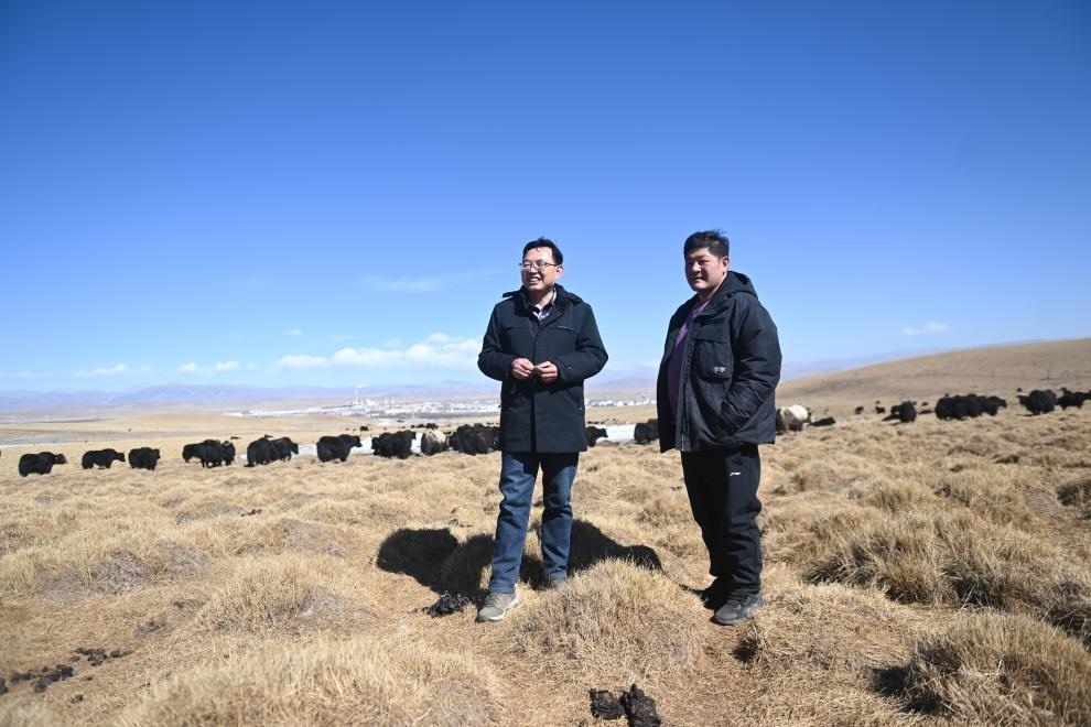 2023年2月24日，在青海省海北藏族自治州海晏縣青海湖鄉(xiāng)達玉日秀村，全國人大代表董全民（左）查看牧民東知布家的草場。新華社記者 張龍 攝