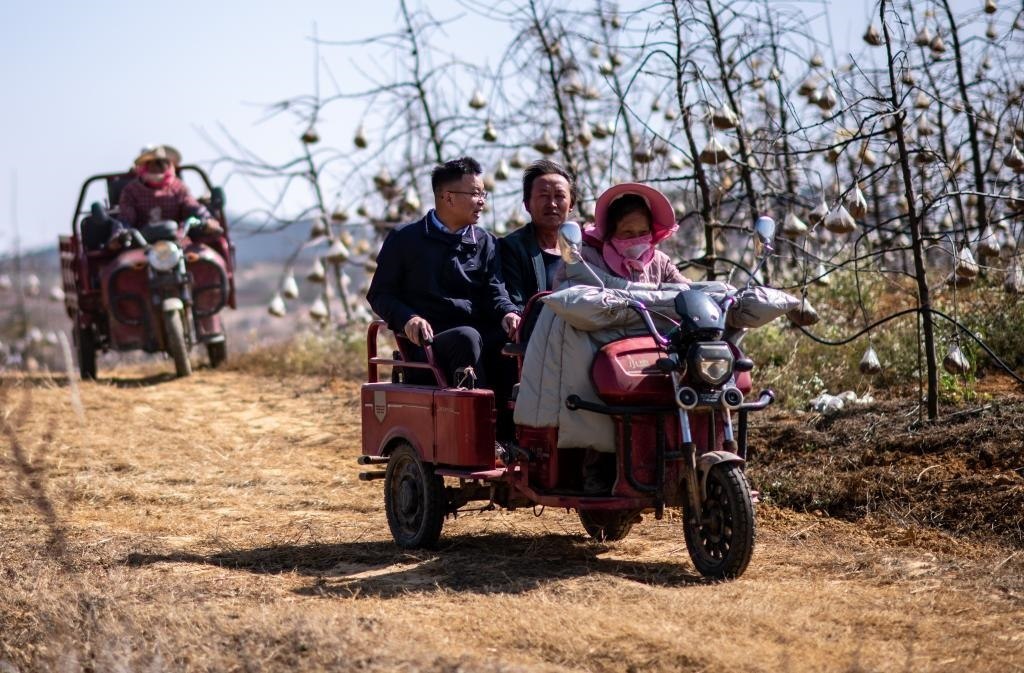 全國人大代表袁海波（右三）在云南省曲靖市馬龍區(qū)一種植基地了解務工人員就業(yè)需求（2023年2月11日攝）。新華社記者 江文耀 攝