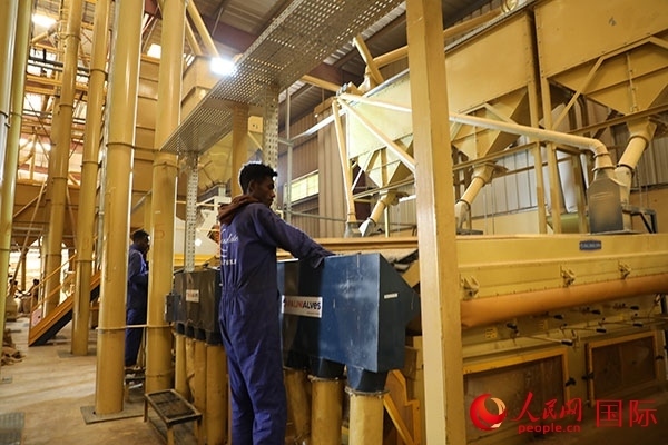 在Bule Hora咖啡加工廠里工作的當(dāng)?shù)毓と藗?。人民網(wǎng)記者 沈小曉攝