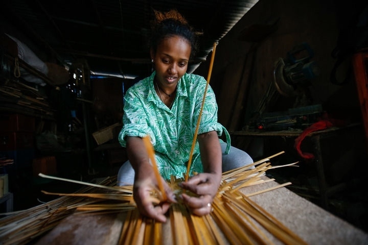 2024年8月10日，菲基爾特·加布雷在埃塞俄比亞首都亞的斯亞貝巴名為“綠色金子”的竹藤工作室里加工竹制產(chǎn)品。新華社發(fā)（邁克爾·特韋爾德 攝）