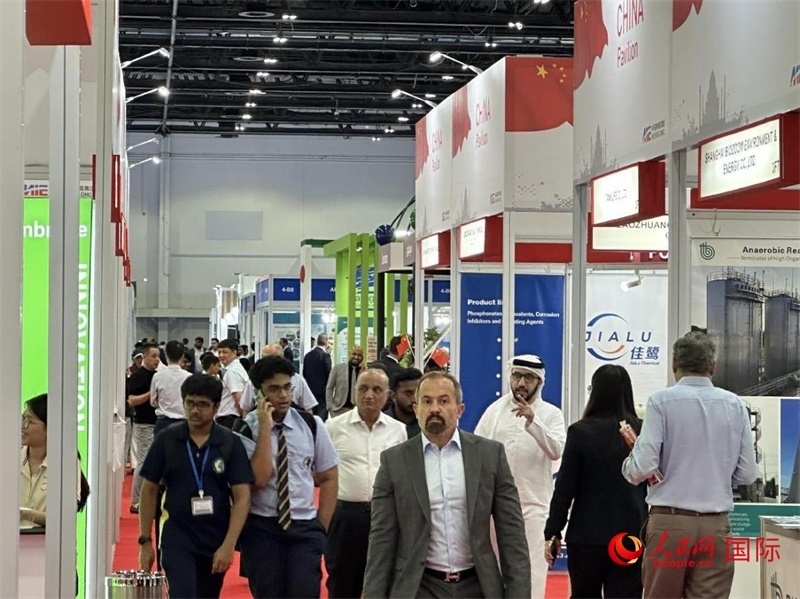 中國(guó)館一角。人民網(wǎng)記者管克江攝