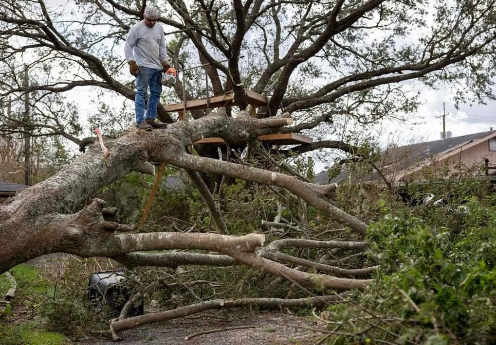 2021年8月30日，在美國路易斯安那州霍馬，一名男子站在被颶風(fēng)吹倒的大樹上。新華社發(fā)（尼克·瓦格納 攝）