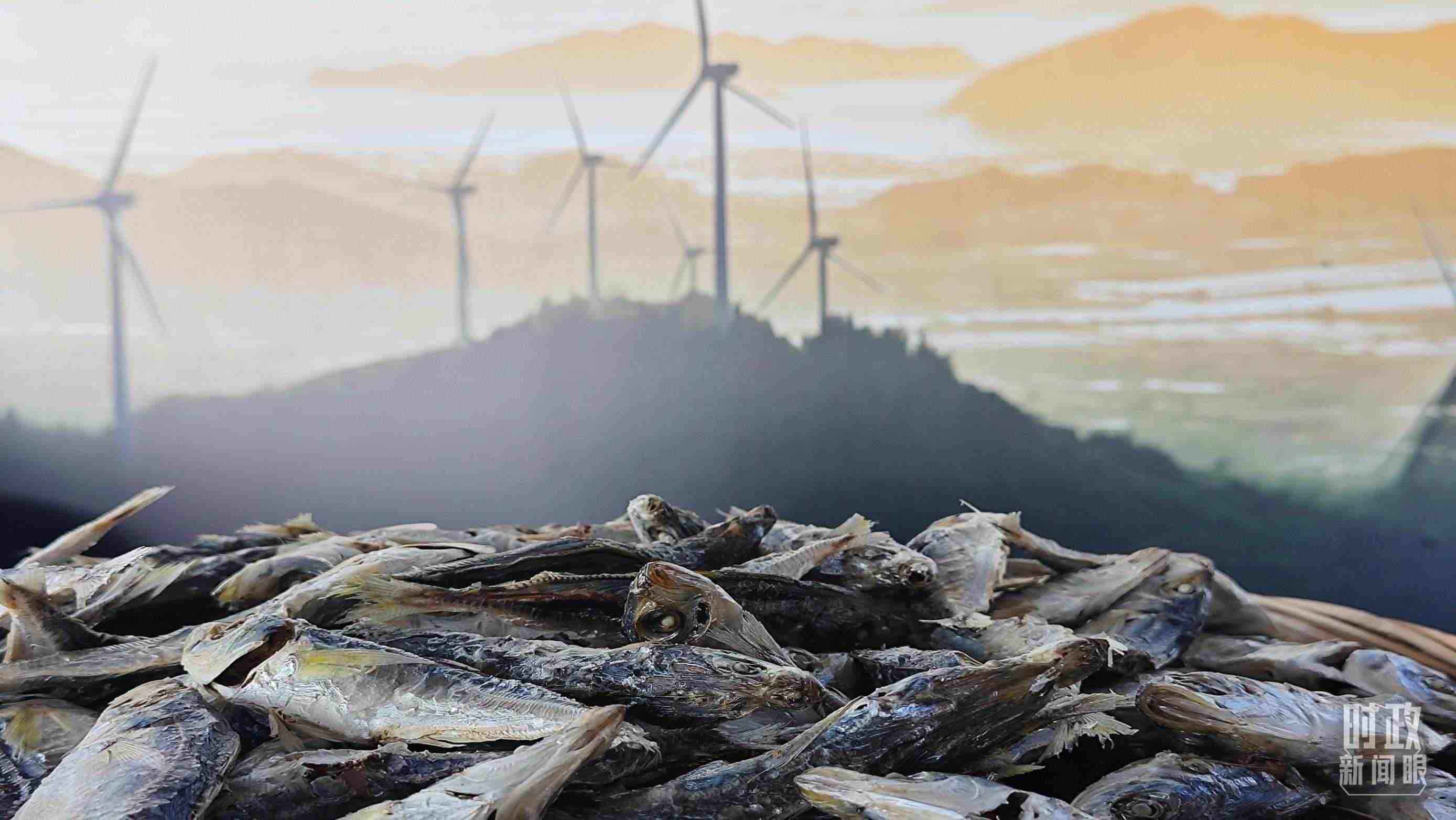 △澳角村的海產品。（總臺央視記者許永松拍攝）