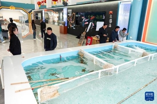 9月20日，游客在吉林省琿春市的帝王蟹保稅店內(nèi)選購帝王蟹。新華社記者 許暢 攝