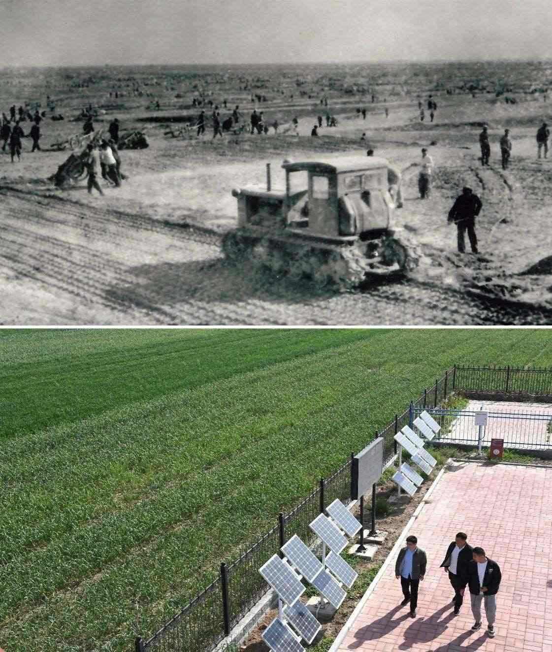 上圖為二十世紀六十年代蘭考改造鹽堿地的情景（資料照片）；下圖為2024年4月18日拍攝的蘭考縣紅廟鎮(zhèn)高標準農(nóng)田示范區(qū)。（新華社記者 朱祥 攝）