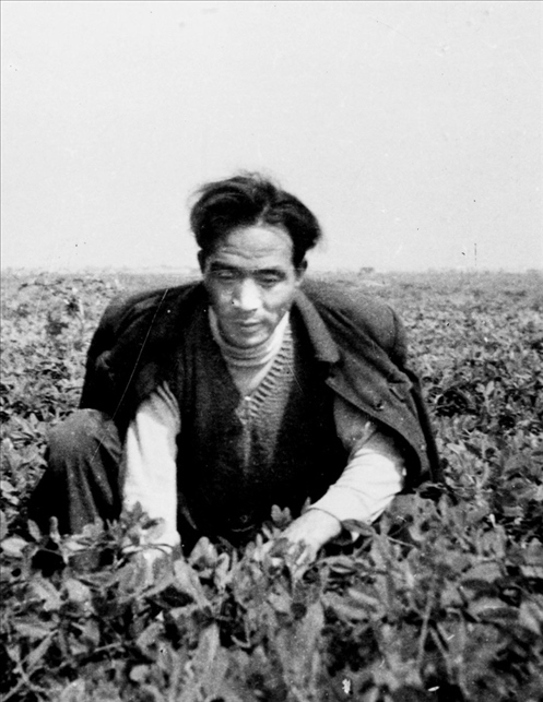 在蘭考期間，焦裕祿在田間勞動的情景。