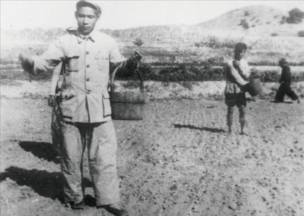 △ 谷文昌在福建省東山縣坑北村參加播種。