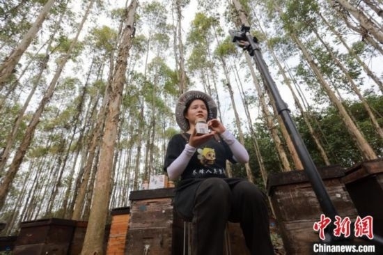 吳素英在網(wǎng)絡(luò)平臺直播介紹蜜蜂和養(yǎng)蜂情況。湯曉逵 攝