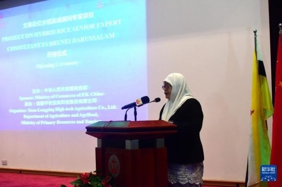 10月26日，文萊初級資源與旅游部常任秘書圖蒂亞蒂在斯里巴加灣市出席中國與文萊雜交水稻高級專家顧問項(xiàng)目啟動儀式。新華社記者 李萌 攝