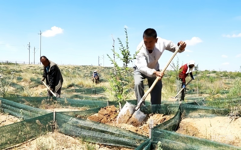 郭璽（前）與村民在防沙方格中植樹（央廣網發(fā) 古浪縣融媒體中心供圖）