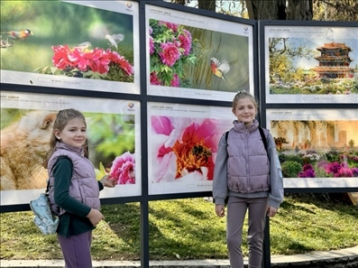 活動(dòng)現(xiàn)場(chǎng)。中國駐保加利亞大使館供圖。