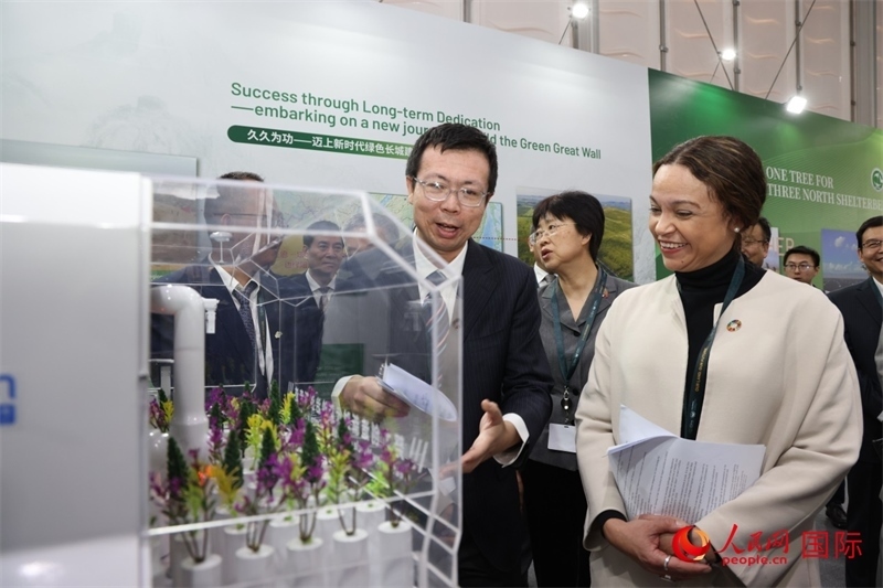 嘉賓參觀中國館。人民網(wǎng)記者任皓宇攝