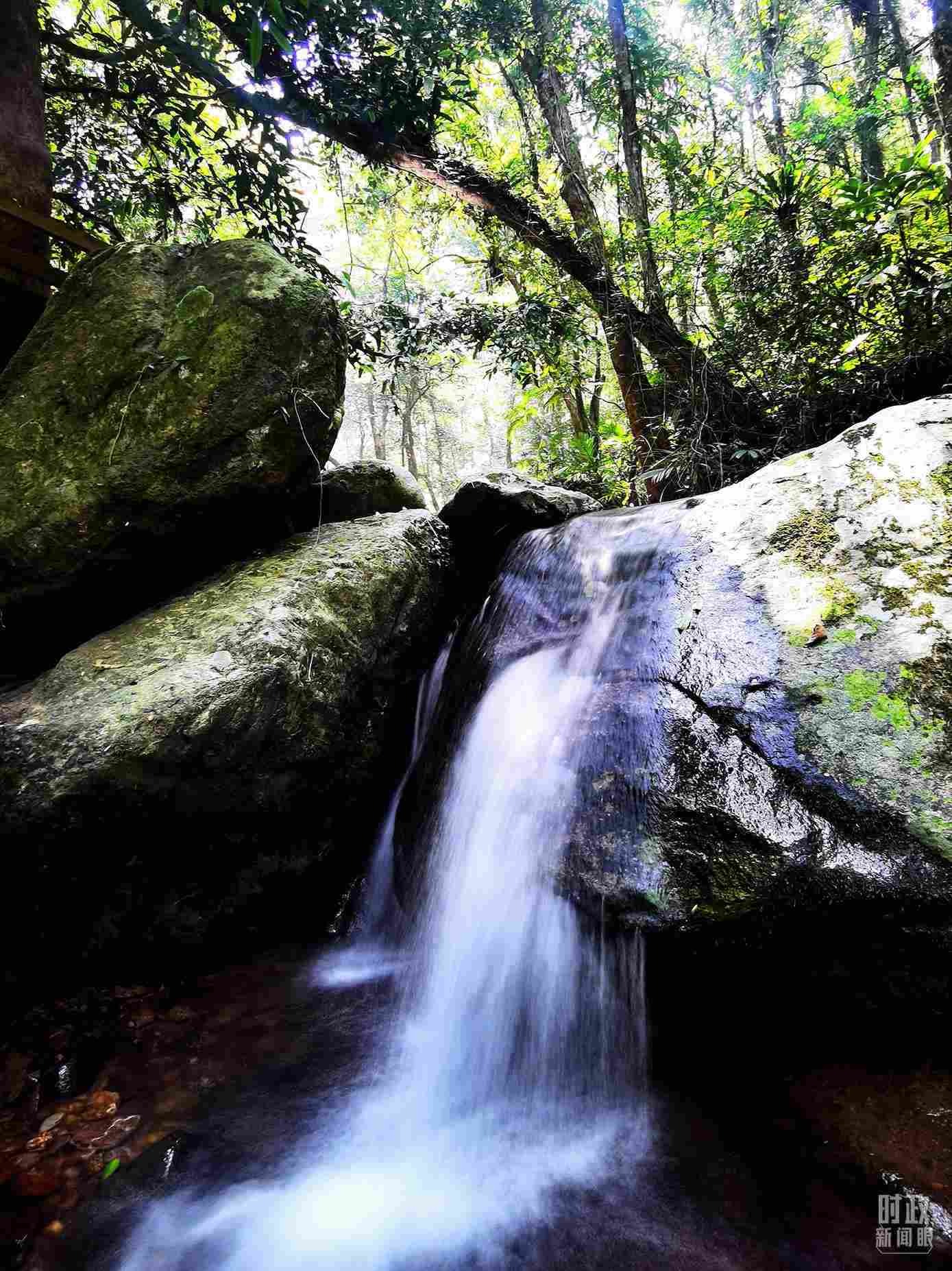 海南五指山。（總臺(tái)央視記者劉琦拍攝）