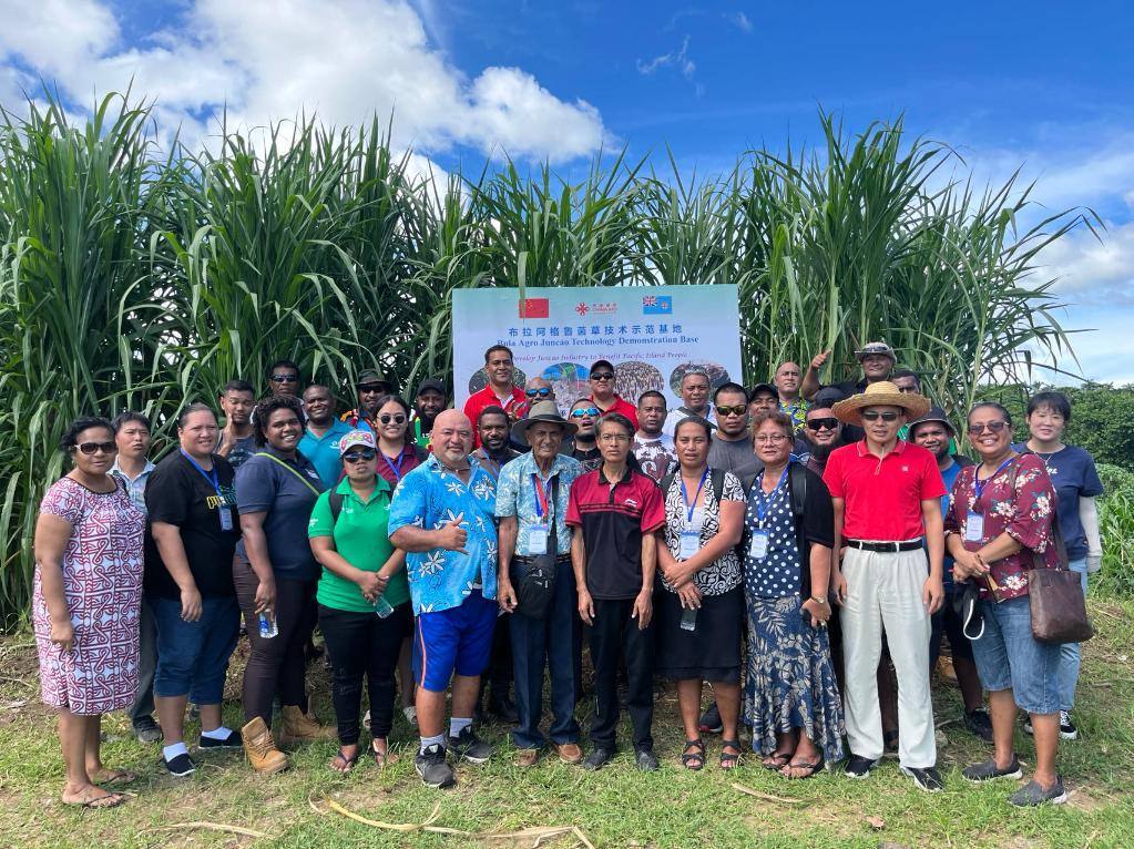 2024年2月28日，來自巴布亞新幾內(nèi)亞、湯加、庫克群島、薩摩亞、瑙魯?shù)葒业摹疤窖髰u國菌草技術(shù)培訓(xùn)班”學(xué)員在斐濟(jì)布拉阿格魯菌草技術(shù)示范基地合影。新華社發(fā)（中國援斐濟(jì)菌草技術(shù)示范中心供圖）