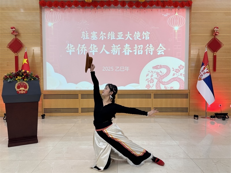 招待會(huì)現(xiàn)場(chǎng)表演。諾維薩德孔子學(xué)院供圖