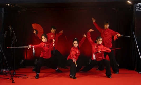 武術(shù)表演。中國駐芬蘭大使館供圖