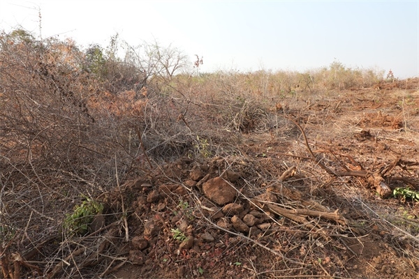 施工現(xiàn)場(chǎng)。張曉昆攝