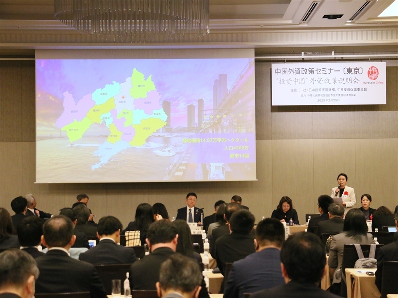 地方代表進(jìn)行專題投資推介。人民網(wǎng) 許可攝