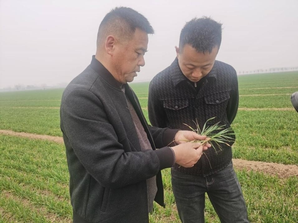 在山東濟(jì)寧汶上縣苑莊鎮(zhèn)，農(nóng)技員黃海龍對(duì)種糧大戶王振現(xiàn)場進(jìn)行春耕指導(dǎo)。人民網(wǎng)記者 車柯蒙攝