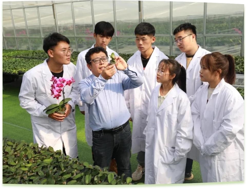 濰坊工程職業(yè)學(xué)院科技創(chuàng)新團(tuán)隊(duì)為花卉行業(yè)從業(yè)者作蝴蝶蘭雜交選育技術(shù)指導(dǎo)。學(xué)校供圖