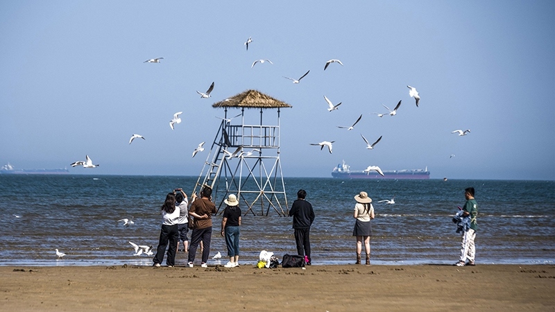 2024年5月12日，河北秦皇島，北戴河鴿子窩公園成群海鷗在天空中自由翱翔，與大海、藍(lán)天構(gòu)成了一幅美麗的畫卷。