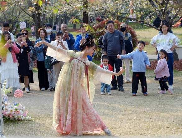清明假期期間，上海顧村公園櫻花島上，游客在觀賞國風(fēng)漢服快閃表演。（圖片來源：視覺中國）