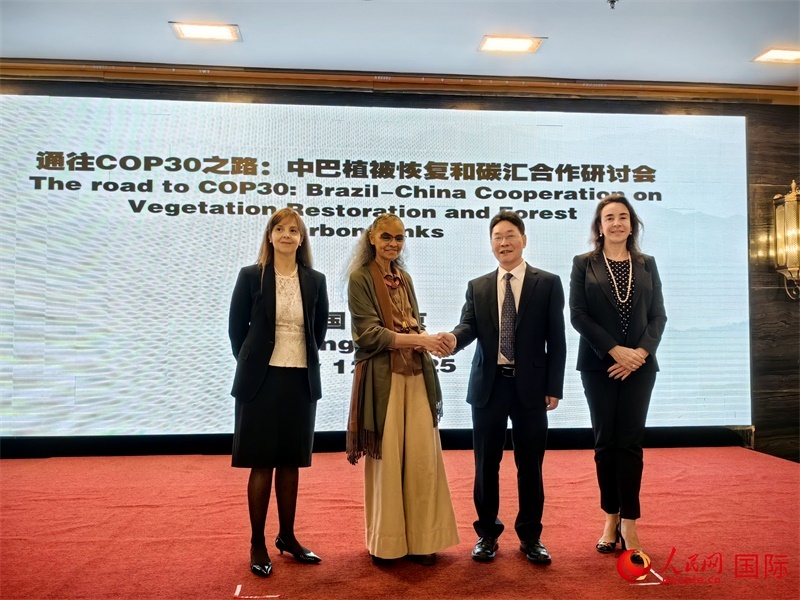 中國國家林業(yè)和草原局副局長李云卿（右二）、巴西環(huán)境和氣候變化部部長瑪麗娜·席爾瓦（左二）、巴西財政部副部長羅熙丹（右一）、巴西駐華大使館公參樂美（左一）出席“通往COP30之路：中巴植樹造林和碳匯合作研討活動”。人民網(wǎng)記者 符園園攝