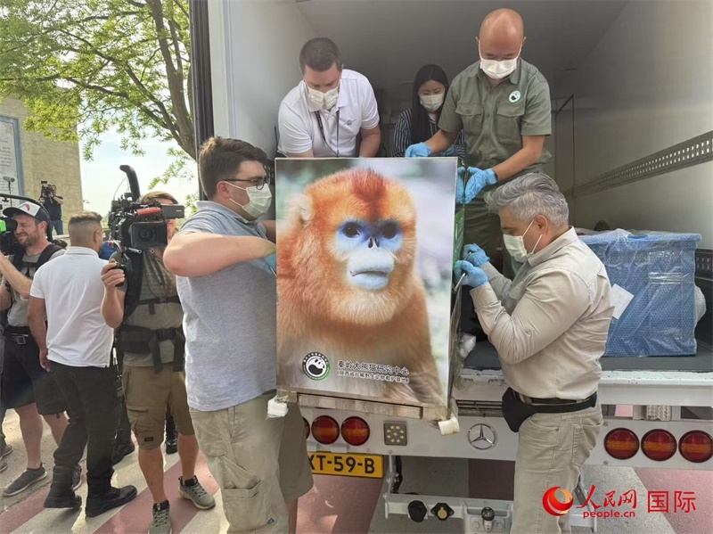 圖為活動現(xiàn)場。人民網(wǎng)記者 牛瑞飛攝