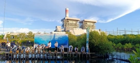 5月18日，中印尼嘉賓在爪哇7號燃煤電站舉行紅樹林補植儀式。記者 曹凱 攝