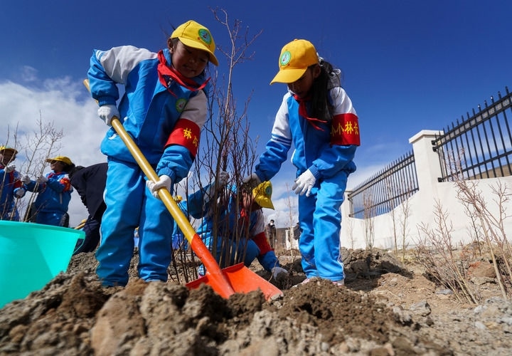 2025年4月25日，西藏那曲市小學(xué)生在植樹(shù)。新華社記者 晉美多吉 攝
