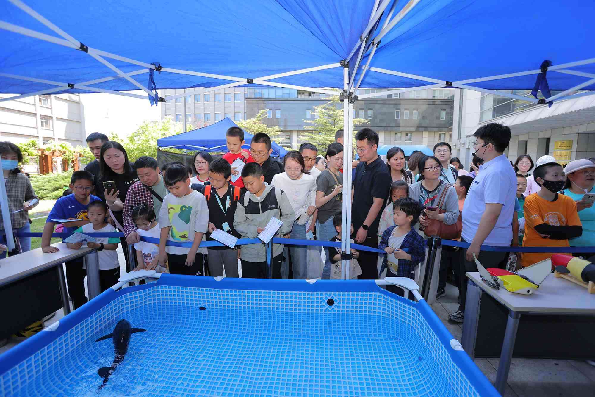 水下仿生機器魚在活動現(xiàn)場大受歡迎。中國科學(xué)院自動化研究所供圖